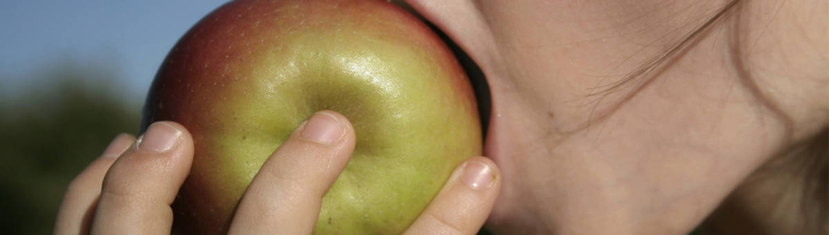 Lekker je tanden in een appel zetten! Dit is trouwens geen Granny Smith.