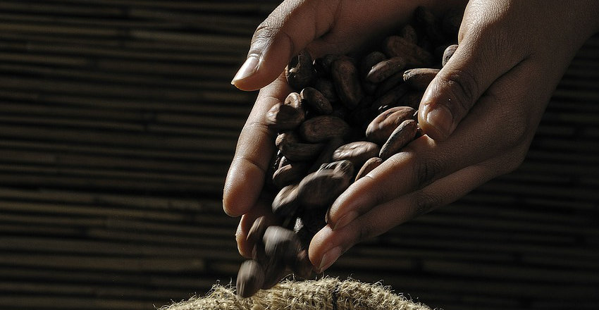 Onder meer koffie en cacao dragen vaak het Fairtrade-keurmerk van Max Havelaar.